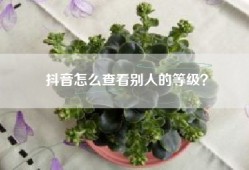 抖音怎么查看别人的等级？