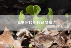 18岁照片的抖音文案？