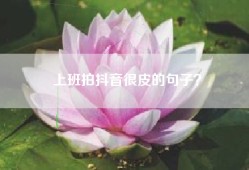 上班拍抖音很皮的句子？