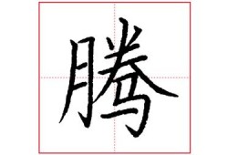 月字旁有哪些字