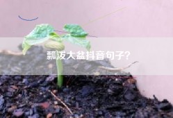 瓢泼大盆抖音句子？