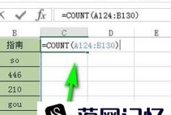 怎样使用excel 统计同类型数据数量优质