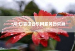 2月2日麦田音乐网服务器恢复