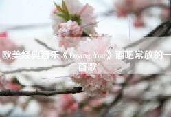 欧美经典音乐《Loving You》酒吧常放的一首歌