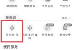 江苏医惠保1号怎么查询保单优质