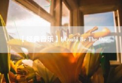 【经典音乐】I Could Be The One