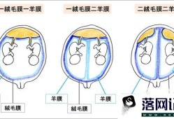 葡萄胎的鉴别诊断优质