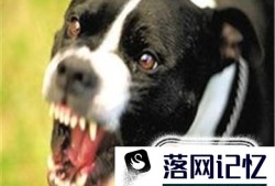 人得了狂犬病有什么症状优质