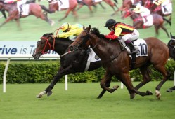 香港最近十五期号码（2023首场出3号）