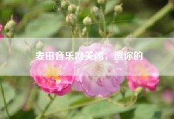 麦田音乐网关闭，逗你的