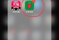 如何使用叮咚买菜APP买东西？优质