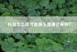 抖音怎么样才能换头像通过审核？