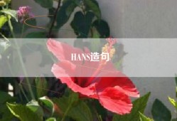 HANS造句