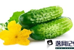 黄瓜跟什么食物相克不能一起吃优质