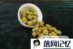 怎么辨别铁皮石斛真伪 用什么方法？优质