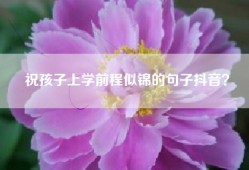 祝孩子上学前程似锦的句子抖音？