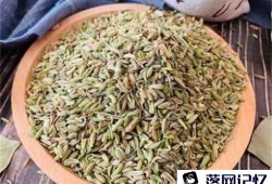 小茴香的价格是多少 小茴香是什么