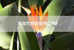 淘宝代投抖加可信吗？