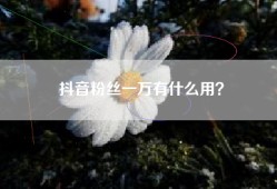 抖音粉丝一万有什么用？