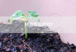 抖音怎么代付？