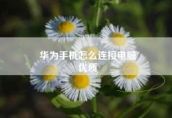 华为手机怎么连接电脑
优质