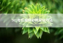 2022年往期精彩榜奖励办法