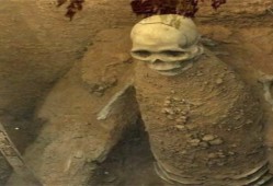 如果古代妃子不愿意殉葬该咋办（下一任皇帝：你必须死）