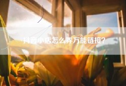 抖音小店怎么弄万能链接？