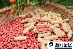 这4类发芽菜发芽不能食用