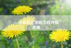 vivo手机忘记密码怎样开锁
优质