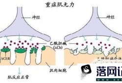 如何治疗重症肌无力优质