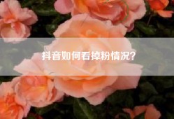 抖音如何看掉粉情况？