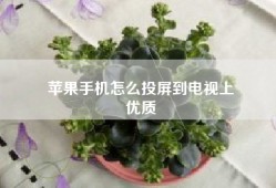 苹果手机怎么投屏到电视上
优质