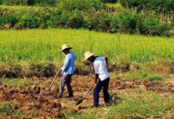 古代地广人稀粮食不够吃 古人为何不去开荒种地