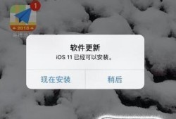 iphone自动弹出输入密码优质