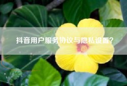 抖音用户服务协议与隐私设置？