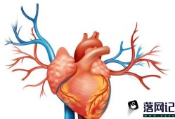 转阴后如何保护心脏优质