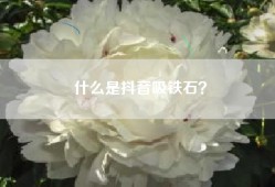 什么是抖音吸铁石？