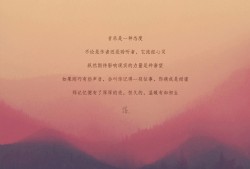 vol.r/3 落网人声电台