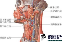 急性淋巴结炎怎样得的优质