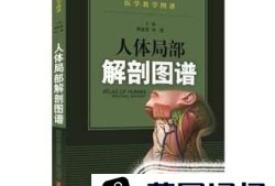 如何自学《人体解剖学》优质