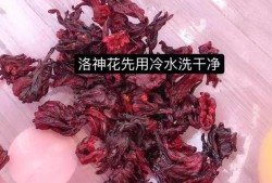 如何做洛神花膏？优质