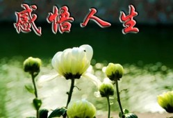 云南宣威 / 余仕田 【杂文】/《感悟人生断章系列（三——八）》