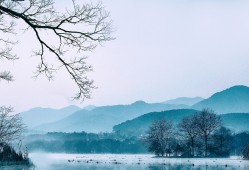 才感春来忽而夏至什么意思