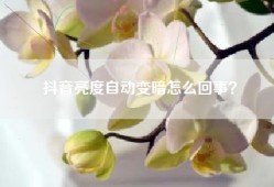 抖音亮度自动变暗怎么回事？