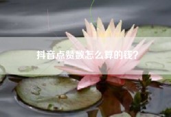 抖音点赞数怎么算的钱？