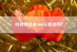 抖音保证金5000元能退吗？