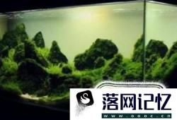 水族鱼缸草缸为什么要换水？如何换水？优质