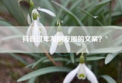 抖音过年发朋友圈的文案？