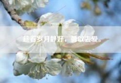 趁着岁月静好，勇敢去爱。